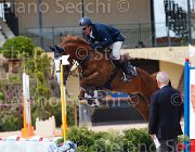DEL CISTIA DEAUVILLE CampITA2013- S5 0584 : Campionati Italiani 2013, Cattolica, DEAUVILLE B.B., DEL CISTIA MARCO, Horse Riviera Resort, foto di Stefano Secchi ©